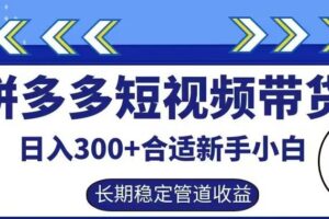 拼多多短视频带货日入300+有长期稳定被动收益，合适新手小白【揭秘】-麦资源网
