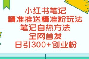 最新小红书笔记精准推送2000+精准粉，单日导流私欲最少300【脚本+教程】-麦资源网