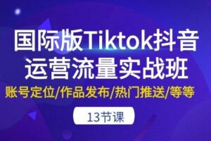 国际版Tiktok抖音运营流量实战班：账号定位/作品发布/热门推送/等等-13节-麦资源网