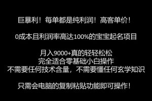 巨暴利，月入9000+的宝宝起名项目，每单都是纯利润，零基础都能躺赚【附软件+视频教程】-麦资源网