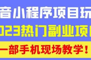 抖音小程序9.0新技巧，2023热门副业项目，动动手指轻松变现-麦资源网