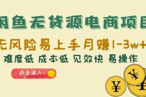 闲鱼无货源电商项目：无风险易上手月赚10000+难度低成本低见效快易操作【揭秘】-麦资源网