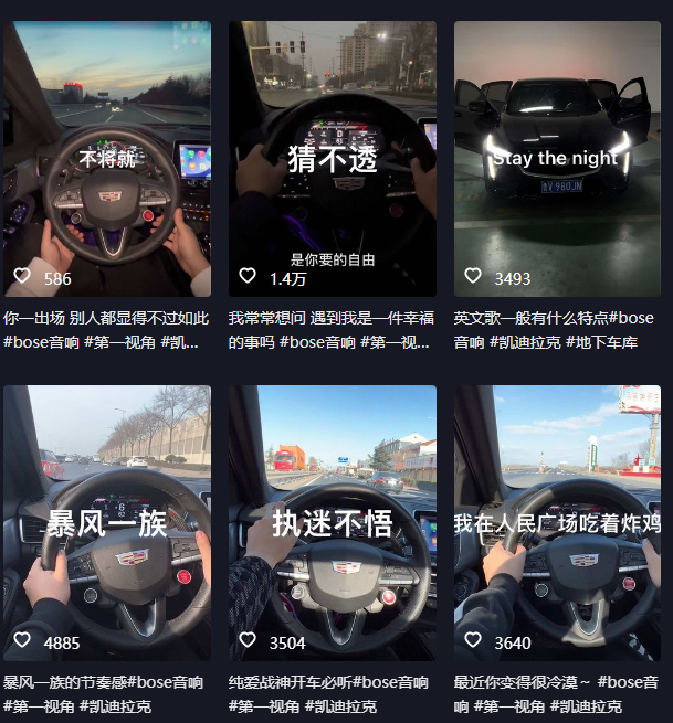 图片[2]-（6199期）抖音开车视频项目，0基础操作，每天五分钟，月入1W+