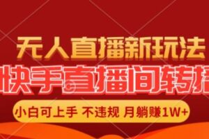快手直播间全自动转播玩法，全人工无需干预，小白月入1W+轻松实现【揭秘】-麦资源网