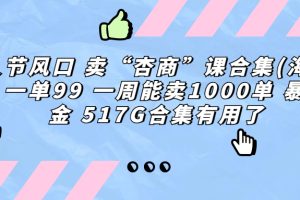 (6917期)情人节风口 卖“杏商”课合集(海王秘籍) 一单99 一周能卖1000单 暴…-麦资源网