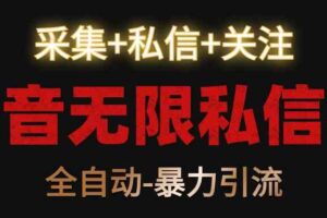 抖音无限私信机！采集+私信+关注，全自动暴力引流！-麦资源网