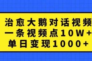 治愈大鹅对话视频，一条视频点赞 10W+，单日变现1k+【揭秘】-麦资源网