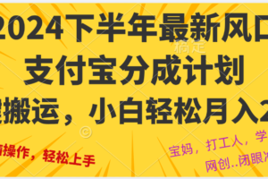 (12861期)2024年下半年最新风口,一键搬运,小白轻松月入2W+-麦资源网