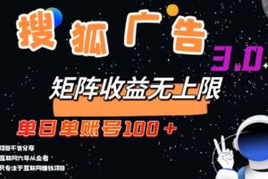 （13010期）搜狐广告掘金，单日单账号100+，可无限放大-麦资源网