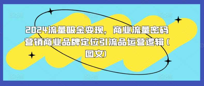 2024流量吸金变现，商业流量密码营销商业品牌*引流品运营逻辑(图文)