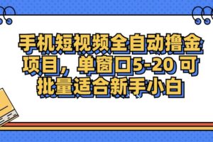 （12898期）手机短视频掘金项目，单窗口单平台5-20 可批量适合新手小白-麦资源网