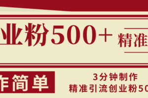 （13073期）3分钟制作精准引流创业粉500+操作简单-麦资源网