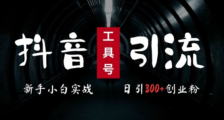 2024*抖音工具号引流玩法，*日引300+创业粉，当天变现5k，小白也可成为实战高手