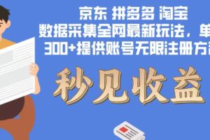 （12840期）数据采集最新玩法单机300+脚本无限开 有无限注册账号的方法免费送可开…-麦资源网