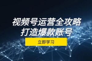 （12912期）视频号运营全攻略，从定位到成交一站式学习，视频号核心秘诀，打造爆款…-麦资源网