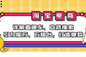 （12814期）2024淘宝电商课程：详解直通车、自然搜索、引力魔方、万相台，打造爆款-麦资源网