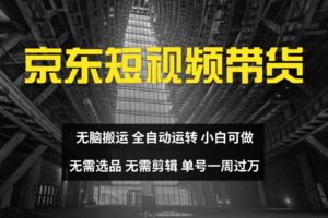 京东短视频达人带货，无脑搬运，无需选品，矩阵操作，单号一周过万-麦资源网
