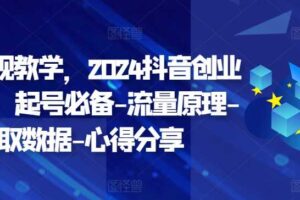 创业变现教学，2024抖音创业实操课，起号必备-流量原理-获取数据-心得分享-麦资源网