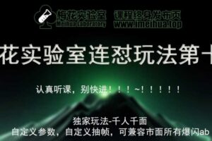 梅花实验室社群专享课视频号连怼玩法第十期课程+第二部分-FF助手全新高自由万能爆闪AB处理-麦资源网