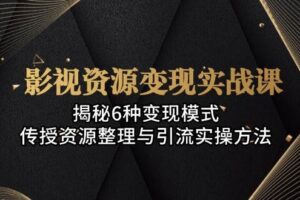 （13140期）影视资源变现实战课：揭秘6种变现模式，传授资源整理与引流实操方法-麦资源网