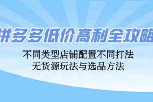 拼多多低价高利全攻略：不同类型店铺配置不同打法，无货源玩法与选品方法-麦资源网