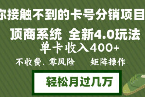 （12917期）年底卡号分销顶商系统4.0玩法，单卡收入400+，0门槛，无脑操作，矩阵操…-麦资源网