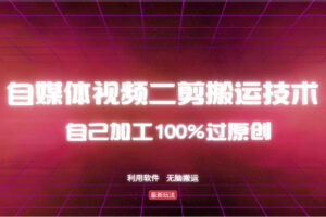 （12995期）详细教你自媒体视频二剪搬运技术，自己加工100%过原创，无脑搬运-麦资源网