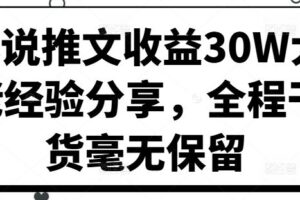 小说推文收益30W大佬经验分享，全程干货毫无保留-麦资源网