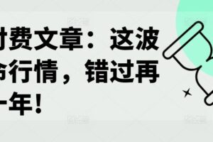 某付费文章：这波改命行情，错过再等十年!-麦资源网