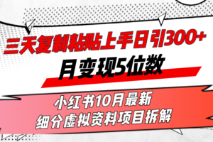 （13077期）三天复制粘贴上手日引300+月变现5位数小红书10月最新 细分虚拟资料项目…-麦资源网