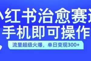 小红书治愈视频赛道，手机即可操作，流量超级火爆，单日变现300+【揭秘】-麦资源网