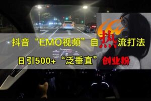 抖音EMO视频自热打法，日引500+“泛垂直”创业粉-麦资源网