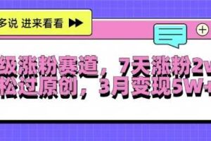 超级涨粉赛道，每天半小时，7天涨粉2W+，轻松过原创，三月变现5W+【揭秘】-麦资源网