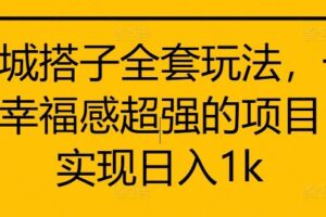 同城搭子全套玩法，一个幸福感超强的项目，实现日入1k【揭秘】-麦资源网