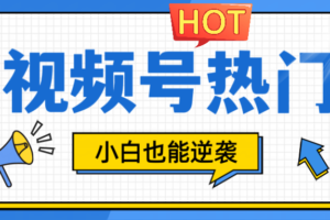 视频号分成计划热门赛道，把握流量，小白也能逆袭-麦资源网