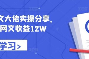 小说推文大佬实操分享，悟空网文收益12W-麦资源网