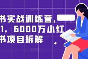 小红书实战训练营，从0到1，6000万小红书项目拆解-麦资源网