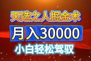 视频号天选之人掘金术，当天起号，小白闭眼干，月变现3w+！！-麦资源网