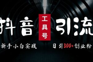 2024最新抖音工具号引流玩法，高效日引300+创业粉，当天变现5k，小白也可成为实战高手-麦资源网