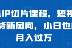 明星IP切片课程，短视频带货新风向，小白也能月入过万-麦资源网