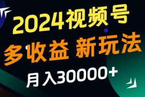2024视频号多收益的新玩法，月入3w+，新手小白都能简单上手！-麦资源网