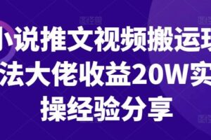 小说推文视频搬运玩法大佬收益20W实操经验分享-麦资源网