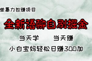 （13083期）全新语聊自刷掘金项目，当天见收益，小白宝妈每日轻松包赚300+-麦资源网