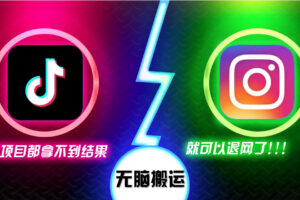 （13064期）抖音无脑搬运，如果这项目都拿不到结果，你可以退网了-麦资源网