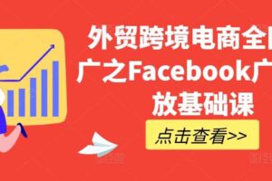 外贸跨境电商全网推广之Facebook广告投放基础课-麦资源网