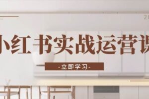 （13238期）小红书实战运营课：从开通店铺到直播话术，打造爆款笔记与高效直播-麦资源网