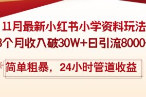 （13234期）11月份最新小红书小学资料玩法，8个月收入破30W+日引流8000+，简单粗暴…-麦资源网