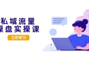 （13249期）私域流量操盘实操课，从用户调研到成交变现，打造可落地的私域引流策略-麦资源网