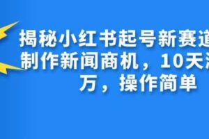 揭秘小红书起号新赛道，AI制作新闻商机，10天涨粉1万，操作简单-麦资源网