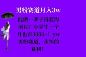 能做一辈子的蓝海项目？小学生一个月也有3000+，yw男粉赛道，永恒的暴利-麦资源网